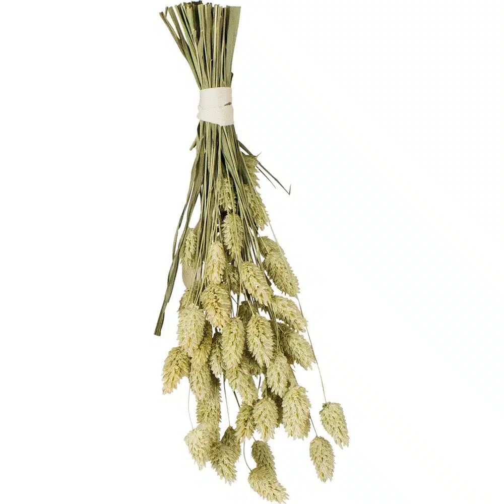 JR Farm Kanariefrøbundt 20gr