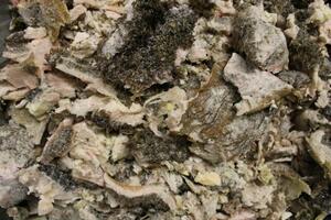 Grøn kallun finhakket 1 kg.