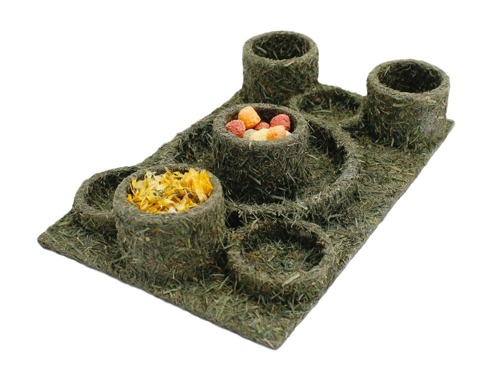 JR Farm Back to Instinct - Forlystelsespark