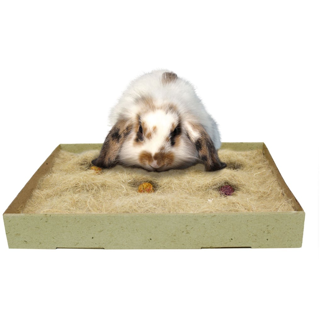 JR Farm Back to Instinct Gnaver Aktivitetstæppe