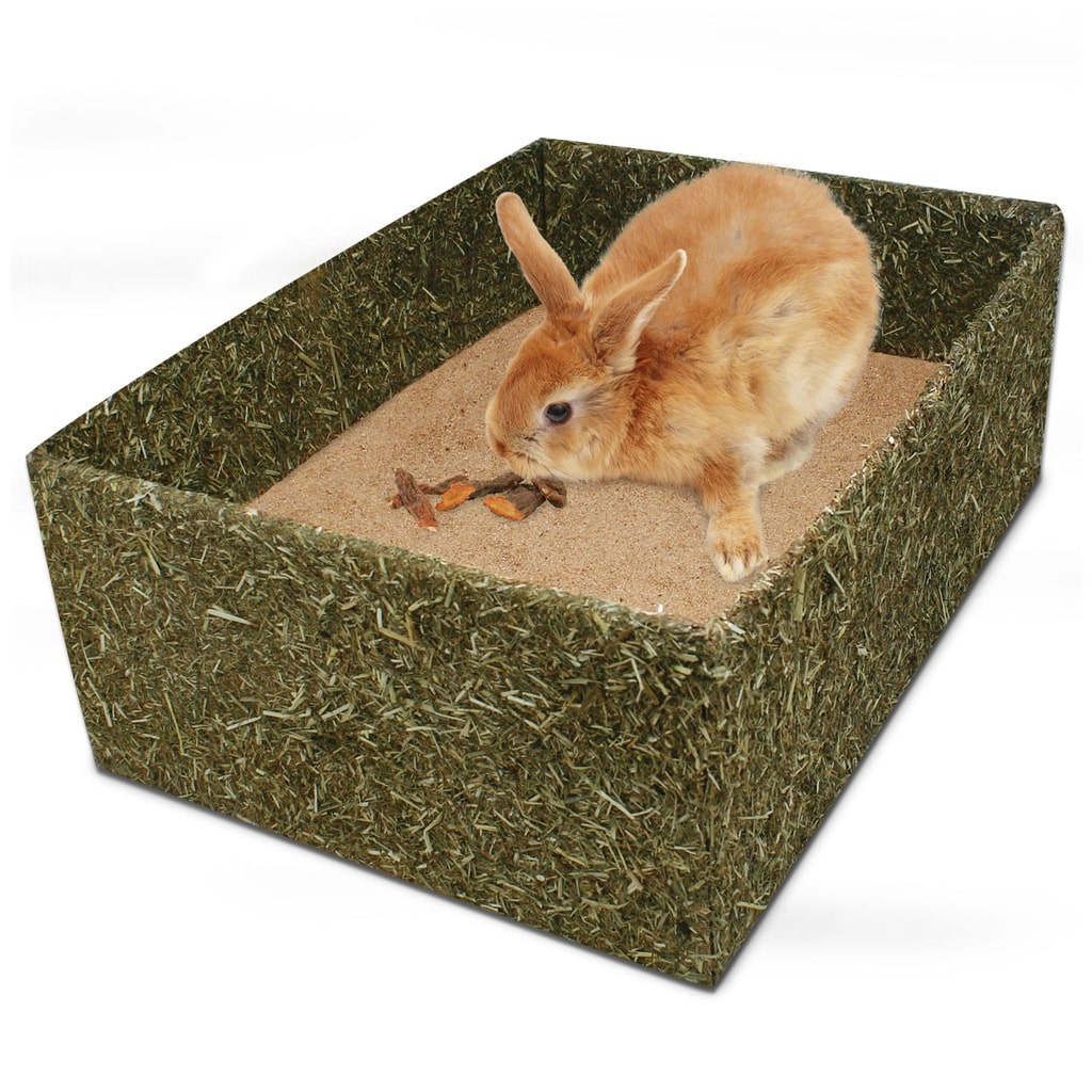 JR Farm Back to Instinct Gravekasse