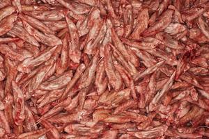 Kyllingevinger 1 kg.