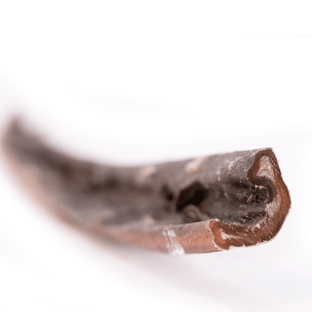 Snack'it Kamelhud 75cm