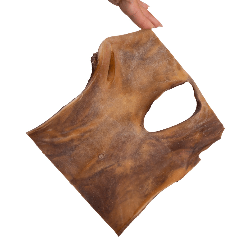 Snack'it Kamelhudsplade ca. 20x20cm i pose