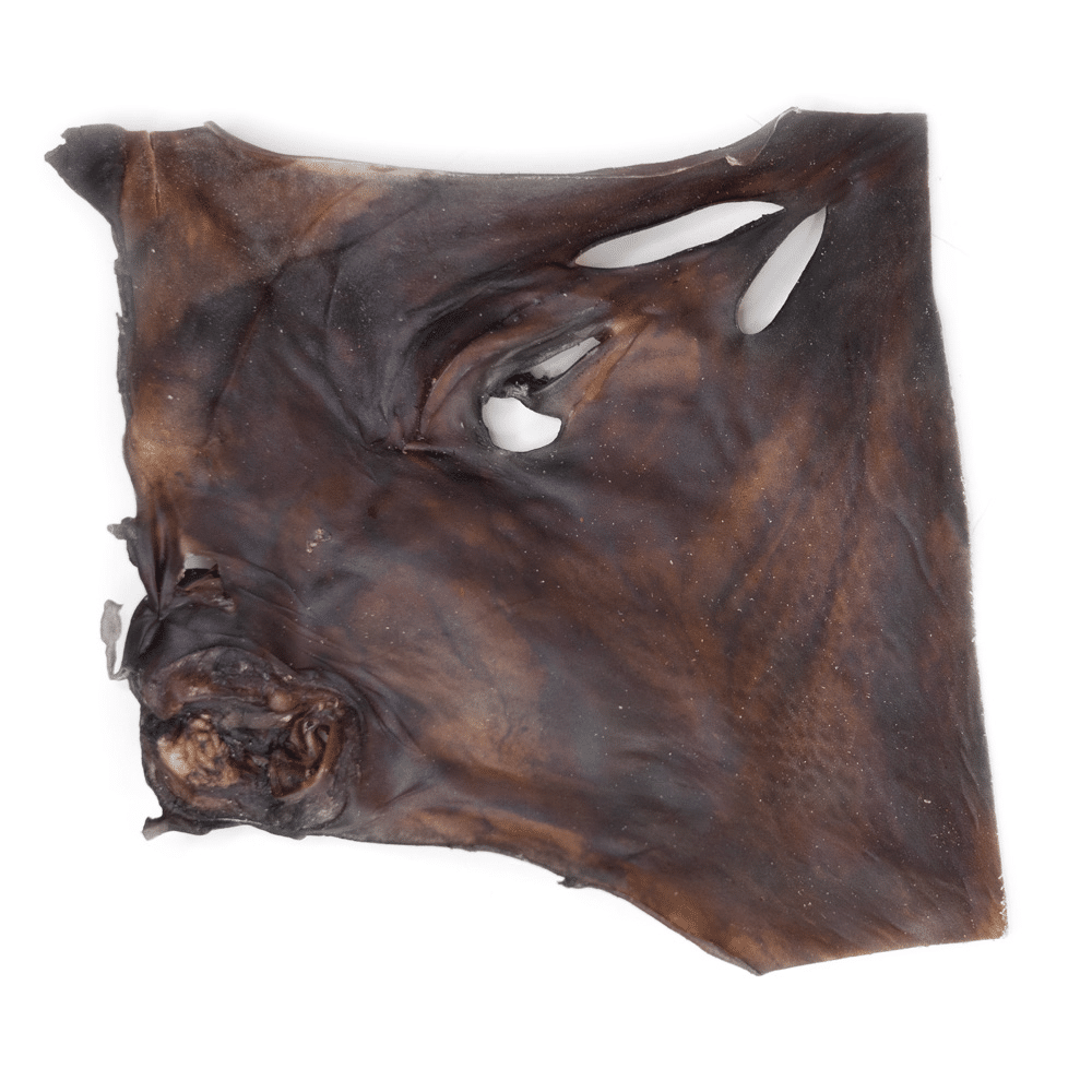 Snack'it Kamelhudsplade ca. 30x30cm i pose