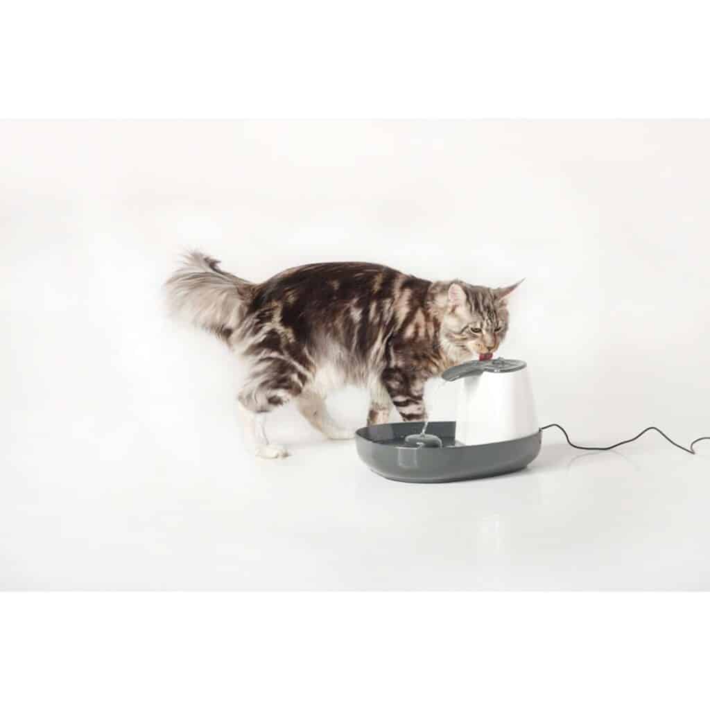 Drikke fontæne Cascade, 1,5 L