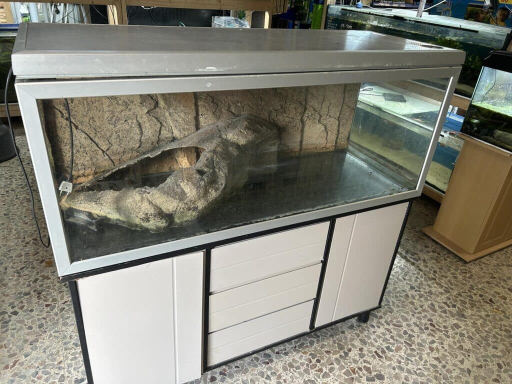 Brugt Akvastabil 325