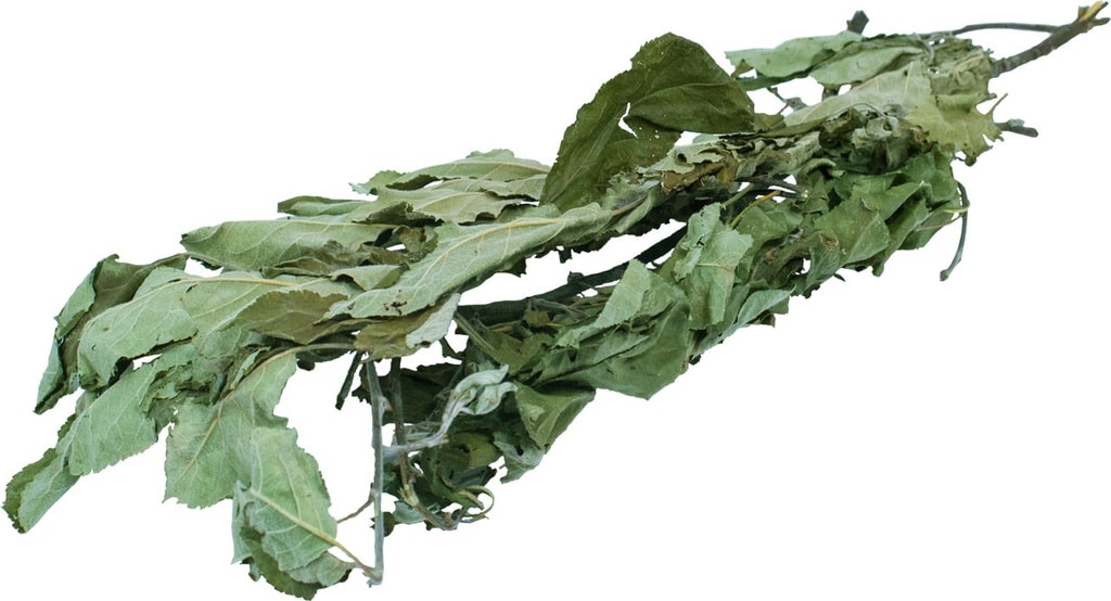 JR Farm Tørrede Æblegrene 40g