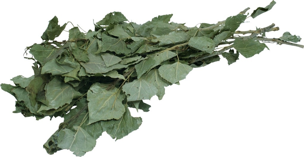 JR Farm Tørrede Birkegrene 40g