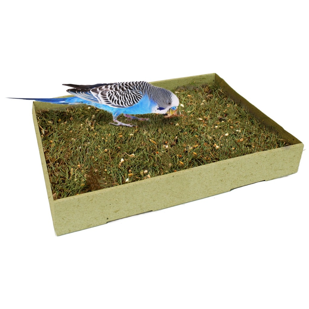 Jr Farm Birdy Plukkeeng 600g