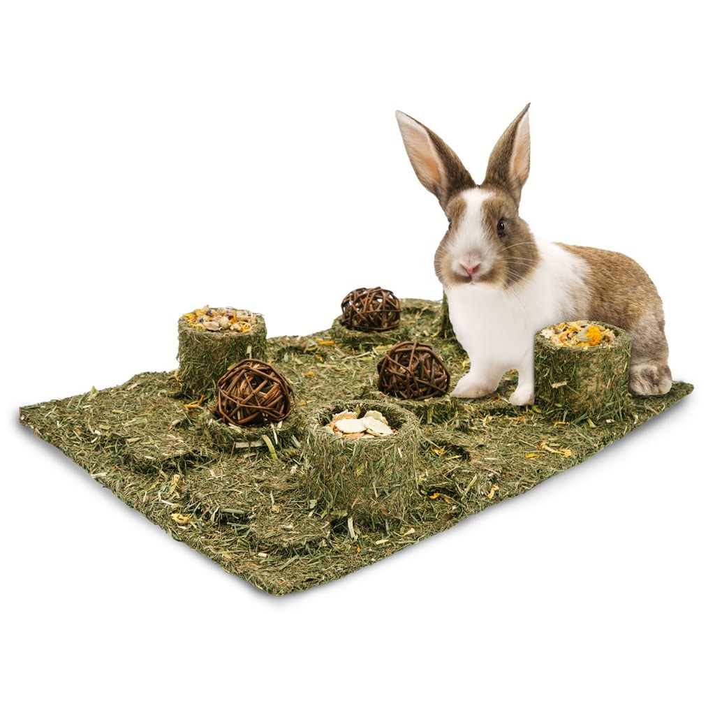 JR Farm Back to Instinct Fun Park XXL