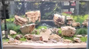 Dekosten RED MULTILAYER. PRIS PR KG