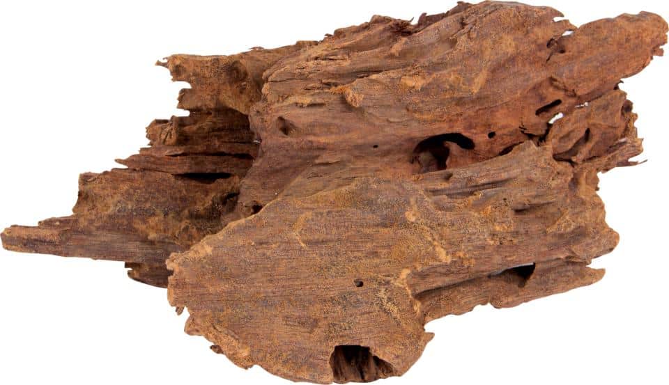 Mangrove trærødder 15-25 cm