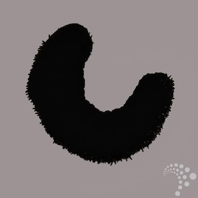 Sort søpølse "Holothuria leucospilota"