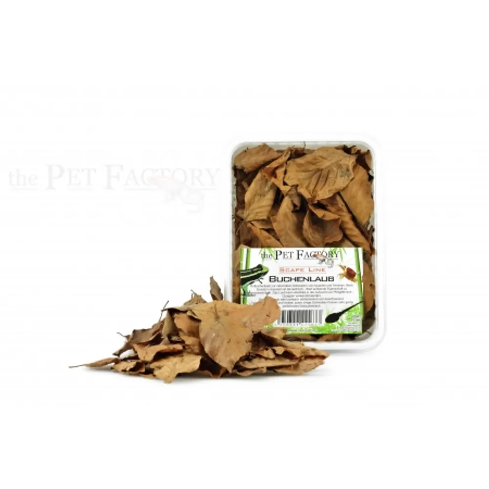 Tørrede bøgeblade 1L