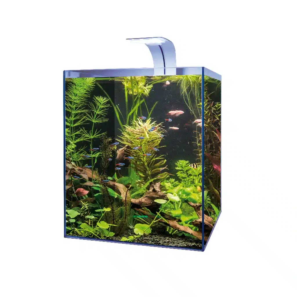 AquaTime Cube 28 startsæt