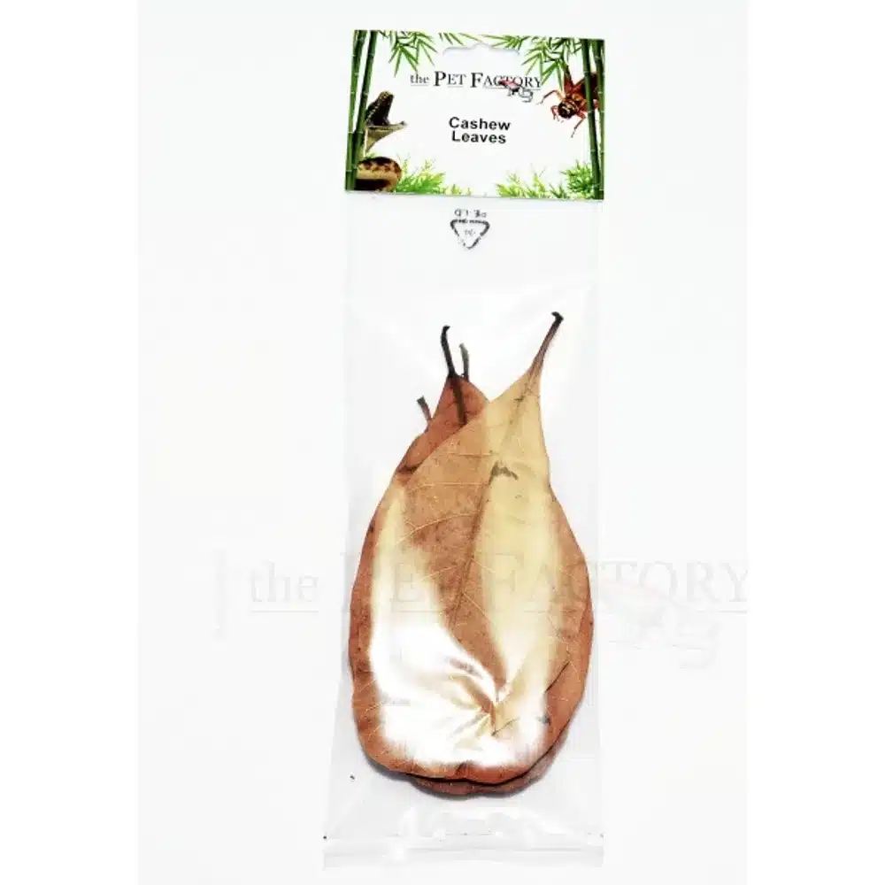 Tørrede Cashewblade ca 5stk