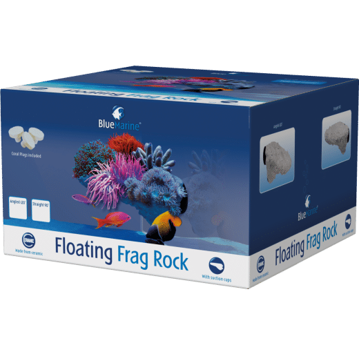 BlueMarine Frag Rock 90