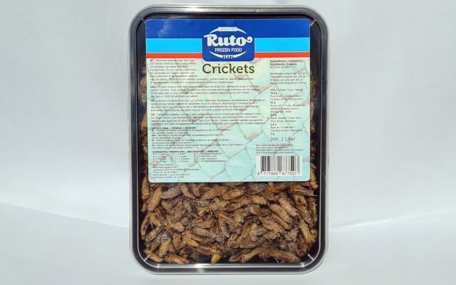 Husfårkyllinger frost 1 liter