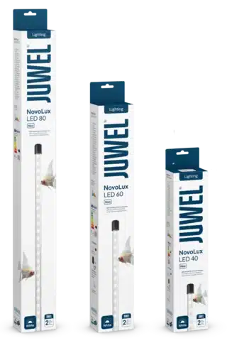 Juwel Novolux White Neo