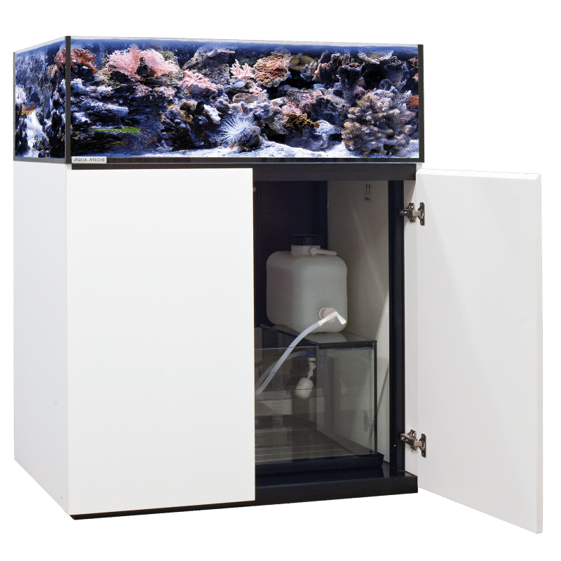 Armatus Lagoon 300 white.