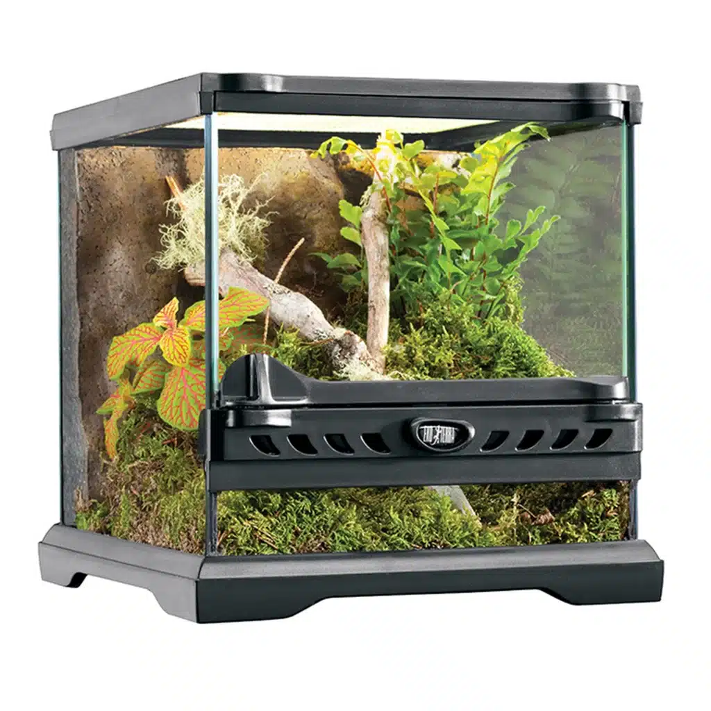 EXOTERRA TERRARIUM 20X20X20 CM