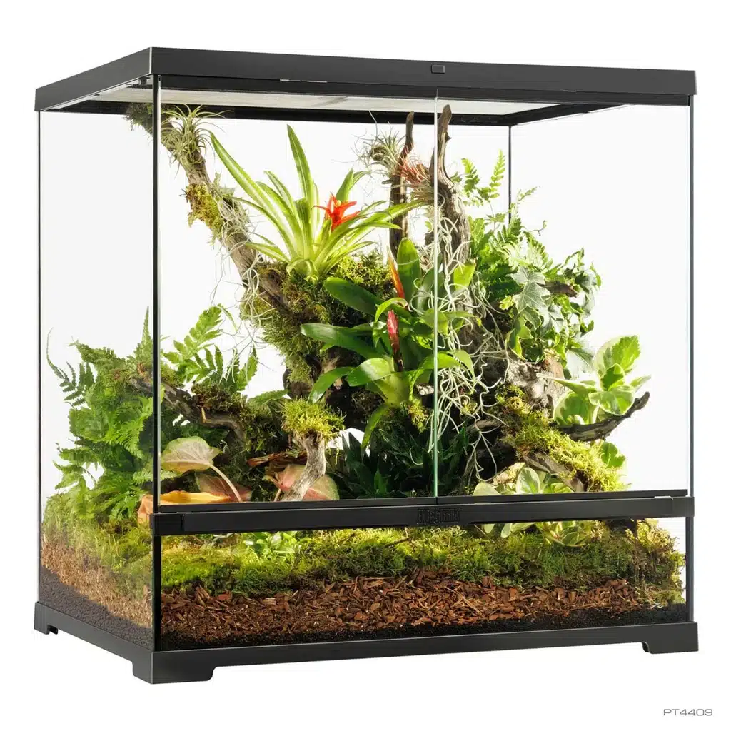 ExoTerra PRO Terrarium 60x45x60cm