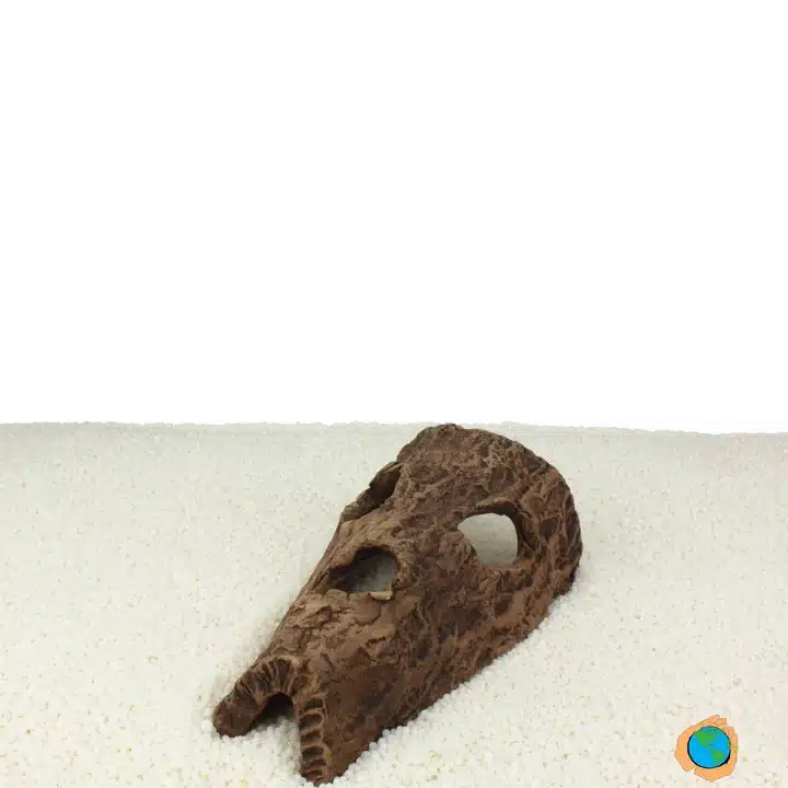 Hestehoved. XS 15 x 9 x 6 cm