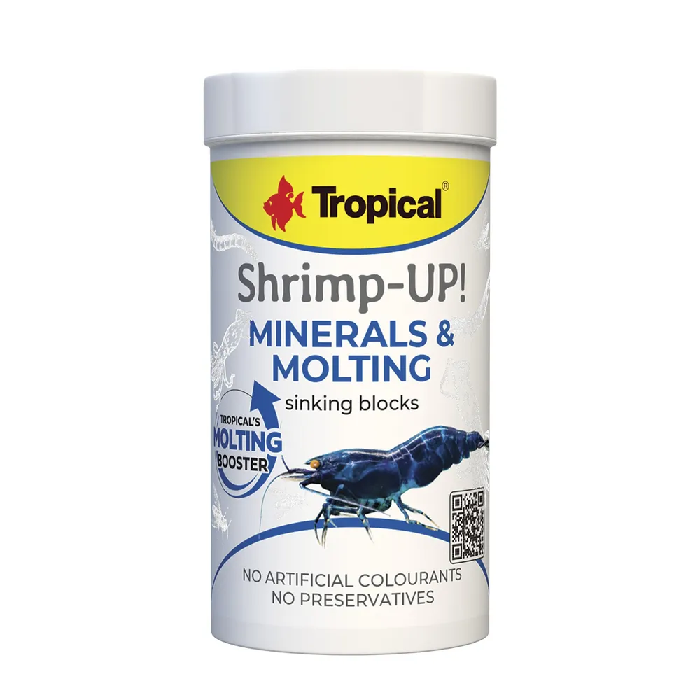 Tropical Shrimp-up! Minerals & Molting