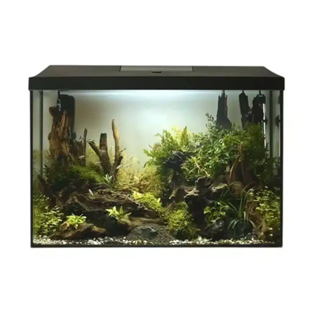 Aquael Akvariesæt 72 Ltr. LEDDY 60 XL Sort D&N 2.0
