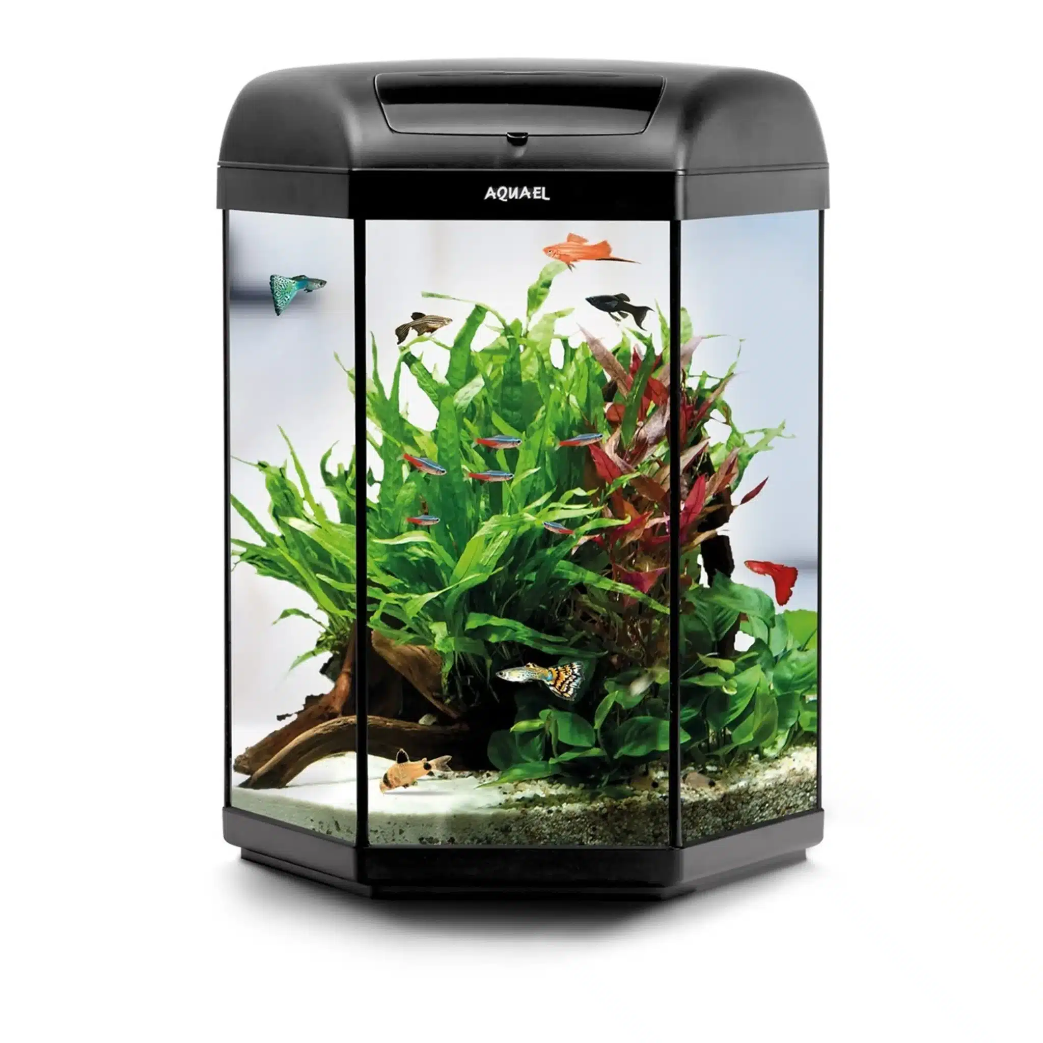 AQUAEL Akvarium HEXA SET 60 D&N Sort